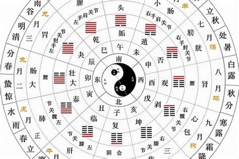 十二天干|十二天干地支五行对照表 天干地支配对表